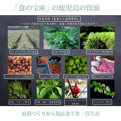 ボタニカノン（BOTANICANON）ホーリーバジルインフューズドバーム 