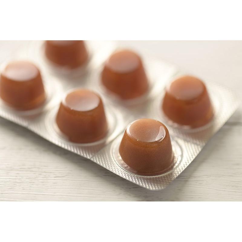 マヌカハニー キャンディ のど飴 10＋ 15＋ 無添加 はちみつ ハニー