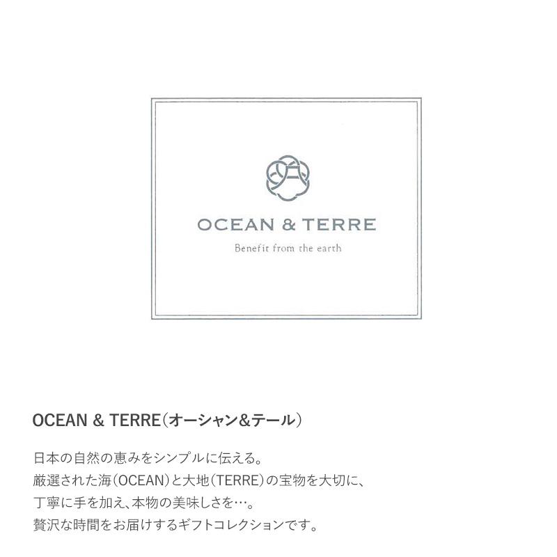 フルーツジュース 果汁100 詰め合わせ ギフト かわいい おしゃれ ジュース Ocean Terre ジュースセットh Nr Natu Robe 通販 Yahoo ショッピング