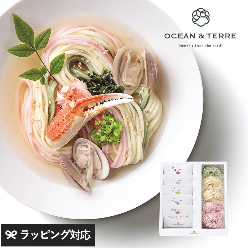 うどん 贈答用 おしゃれ 高級 ギフト 甘くないもの 詰め合わせ Ocean Terre 野菜うどんセットg Nr Natu Robe 通販 Yahoo ショッピング