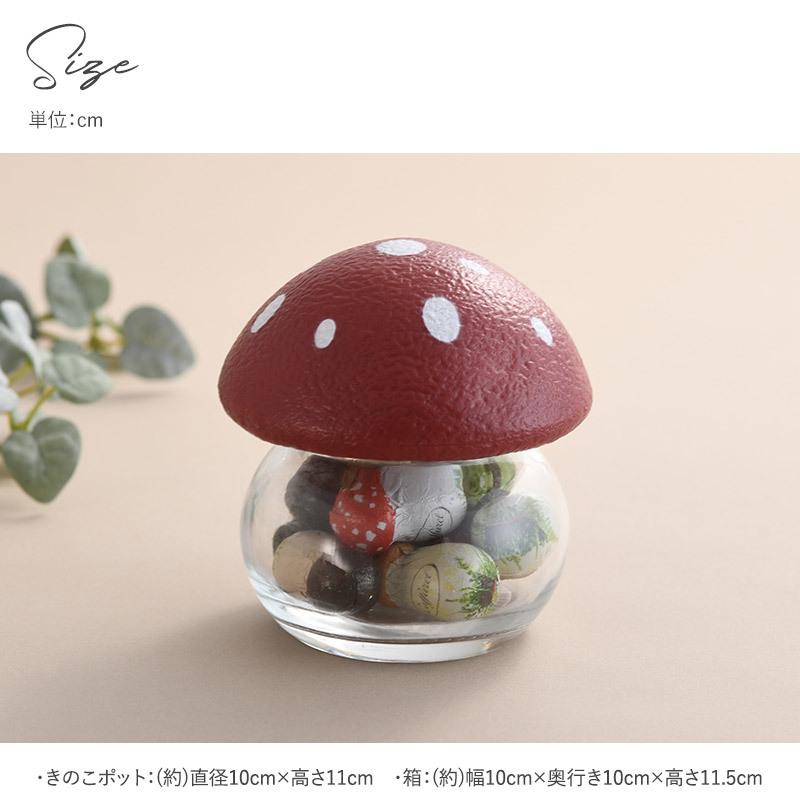 カファレル チョコレート きのこ ギフト 詰め合わせ おしゃれ かわいい
