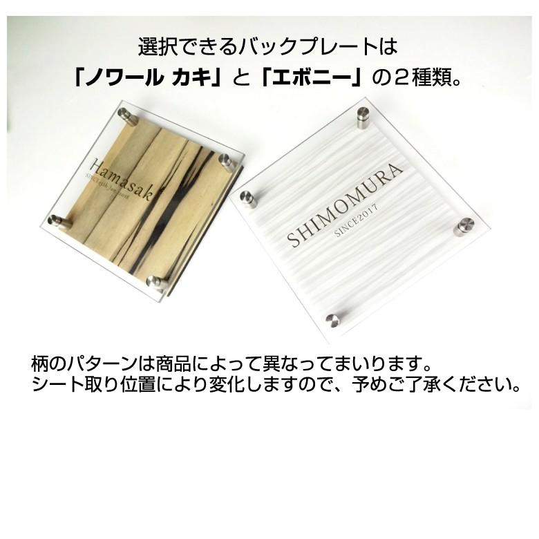 表札 おしゃれ 戸建て ポリカーボネイト POLYCA CLASS : MODELLOLUXURY