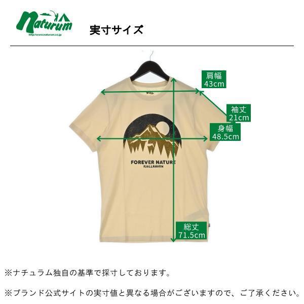 トップス(メンズ) FJALLRAVEN ネイチャー Tシャツ メンズ M チョークホワイト｜naturum-fashion｜04