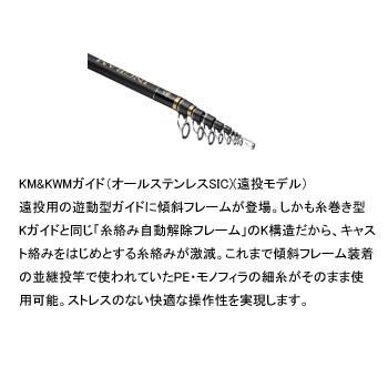 ニッシン イングラム遠投 5号 5305 : ナチュラム フィッシング ニッシン イングラム遠投 5号 5305 : ナチュラム フィッシング