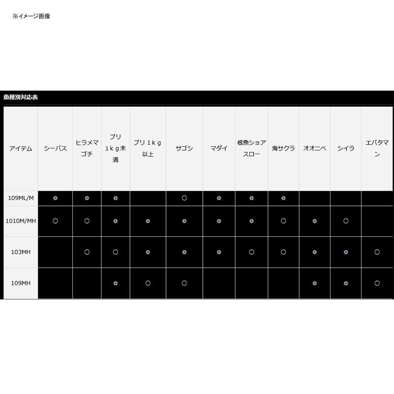 ダイワ オーバーゼア 109ML/M|naturum-fishingstore|02