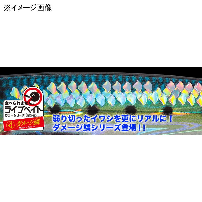 ジギング・タコベイト メジャークラフト ジグパラ ライブベイト ショート 20g #99 ダメージ 腹グローイワシ｜naturum-fishingstore｜02