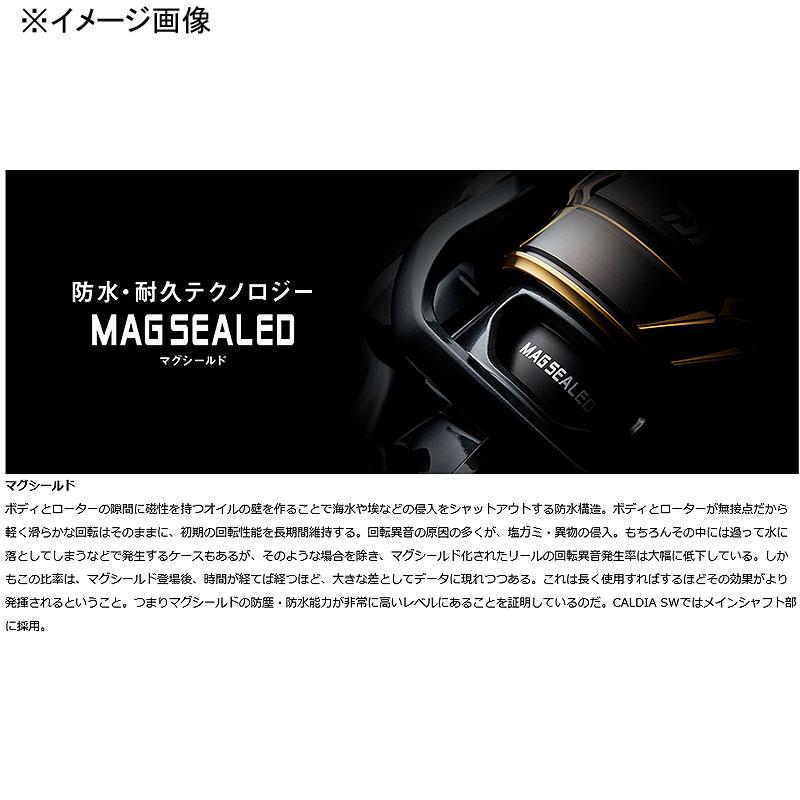 DAIWA(釣り) スピニングリール ダイワ 22 CALDIA(カルディア DAIWA(釣り) スピニングリール ダイワ 22 CALDIA(カルディア