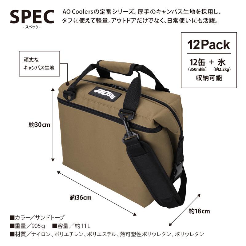 ソフトクーラー エーオー クーラーズ 12パック キャンバス 約11L
