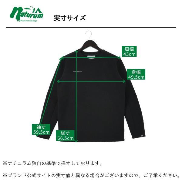 トップス(メンズ) マムート Dyno 2.0 ML Crew Neck AF XS PLATINUM MELANGE_2