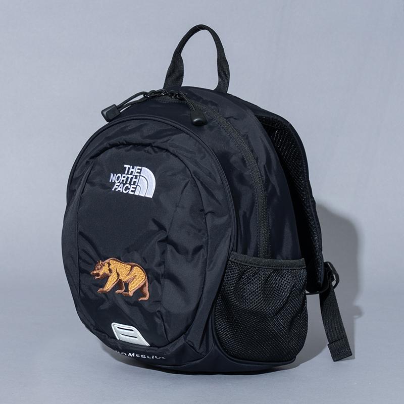 THE NORTH FACE（ザ ノースフェイス） ホームスライス キッズ 8L 