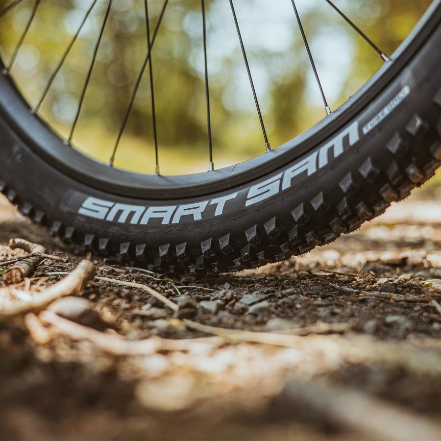 SCHWALBE（シュワルベ） 自転車タイヤ・チューブ 正規品 スマートサム