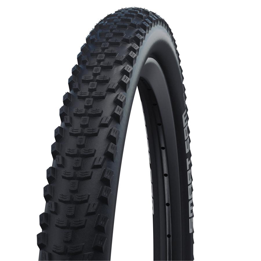 SCHWALBE（シュワルベ） 自転車タイヤ・チューブ 正規品 スマートサム