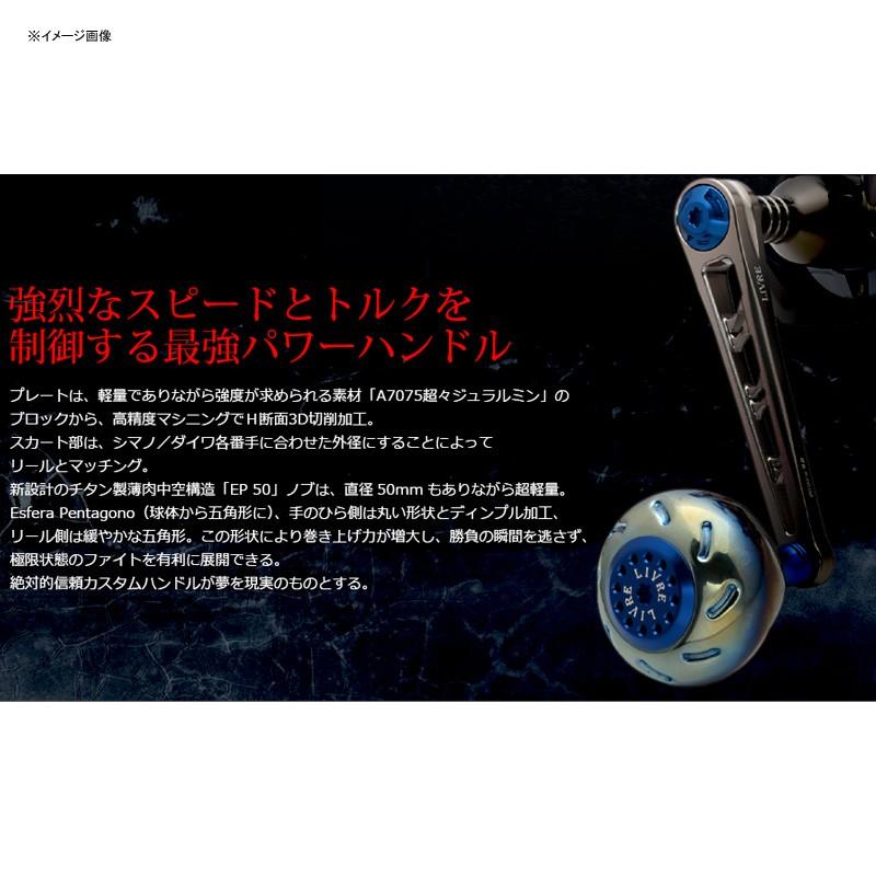 ブランド登録なし - リールカスタムパーツ LIVRE POWER(力強さ) ダイワ18000番〜20000番用 働き掛ける似ている 98粍 GMG(火器メタ×ゴールド)