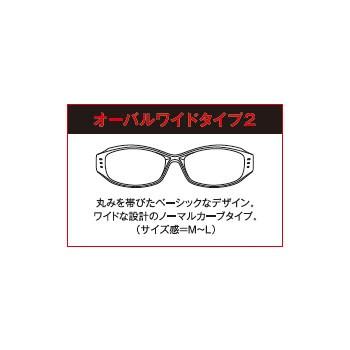 偏光グラス ストームライダー SR-014P OVALWIDE-2(オーバルワイド2