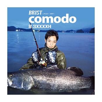 ショアジギングロッド Fishman(フィッシュマン) BRIST comodo8