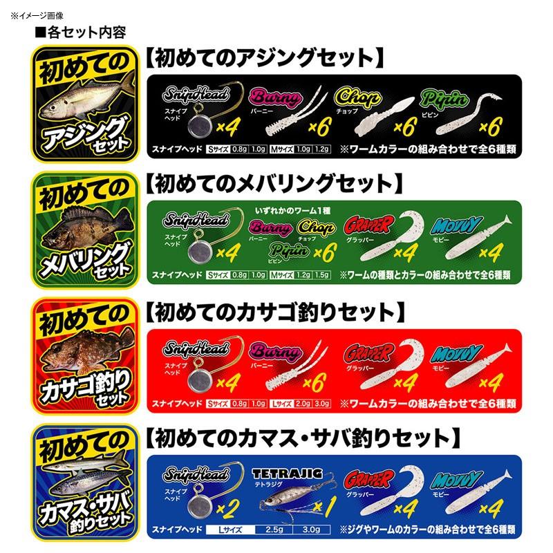 デュオ テトラワークス 入門セット 初めてのアジングセット