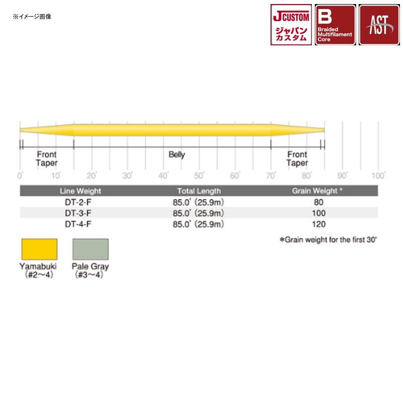 TIEMCO（ティムコ） 1/1は全品+P5% フライライン SA スープラ フィネス