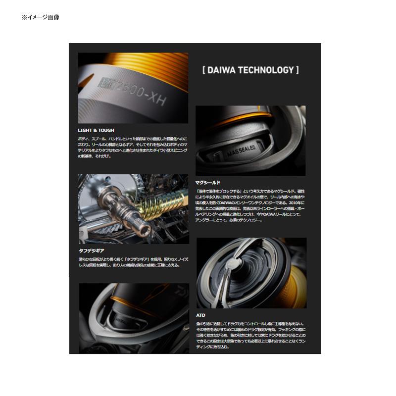 DAIWA（ダイワ） スピニングリール 21フリームス LT3000-C