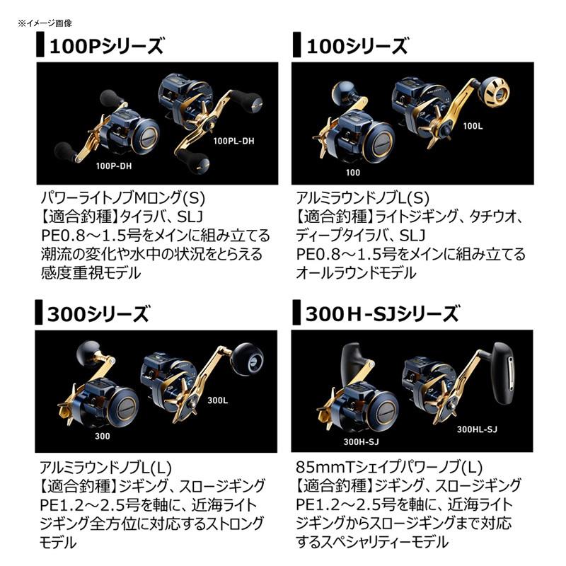 DAIWA（ダイワ） ベイトリール 21SALTIGA(ソルティガ) IC 100PL-DH