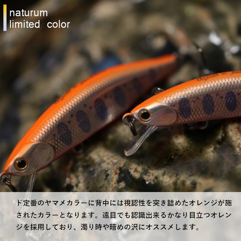 ジャクソン メテオーラ 45mm Do・Daytime攻略(ケイムラ ジャクソン メテオーラ 45mm Do・Daytime攻略(ケイムラ