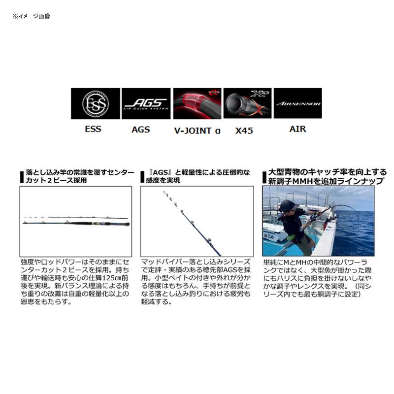 DAIWA（ダイワ） 船竿 21 ゴウイン落とし込み H-245・R(2ピース