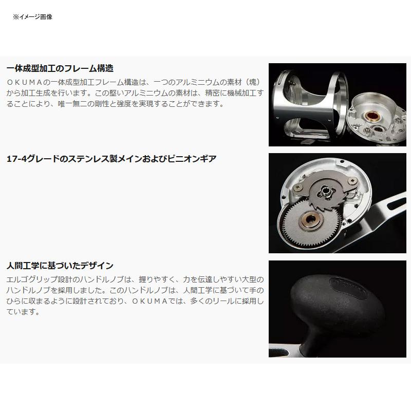 ベイトリール オクマ CAVALLA(カバラ) CAV-12IILX 左ハンドル|naturum-outdoor|02