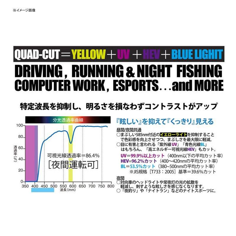 偏光グラス ストームライダー WITH DRIVE NEO UV420 WELLINGTON