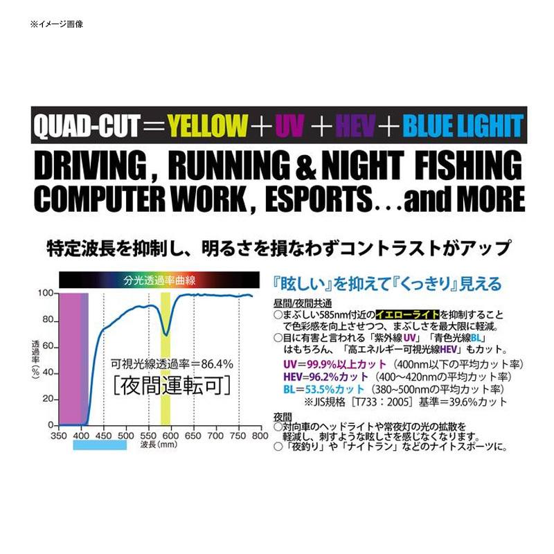 1/1は全品+P5% 偏光グラス ストームライダー WITH DRIVE NEO UV420
