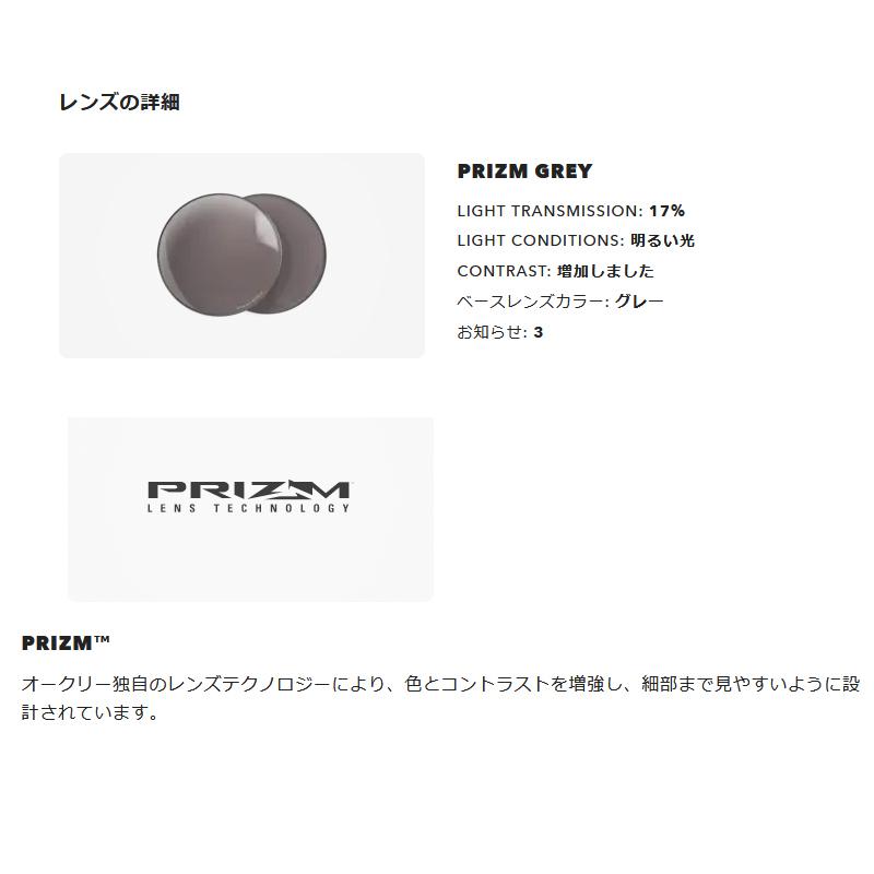 オークリー SOLSTICE COLLECTION FROGSKINS/LOW BRIDGE FIT XL(137mm) P.BLACK/GREY_6