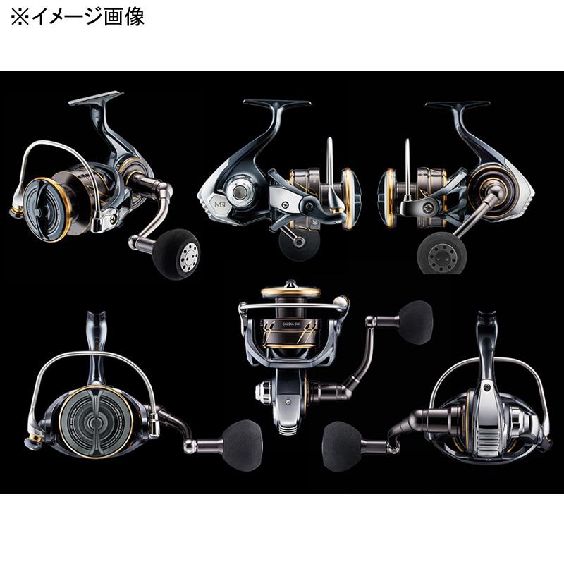 DAIWA（ダイワ） スピニングリール 22 CALDIA(カルディア) SW 4000D