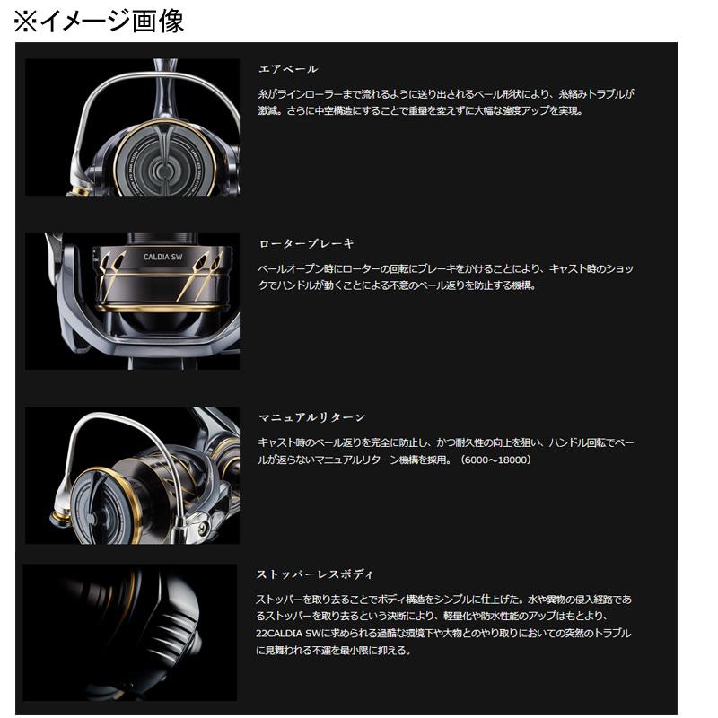 DAIWA（ダイワ） 5/17は全品+P5% スピニングリール 22 CALDIA