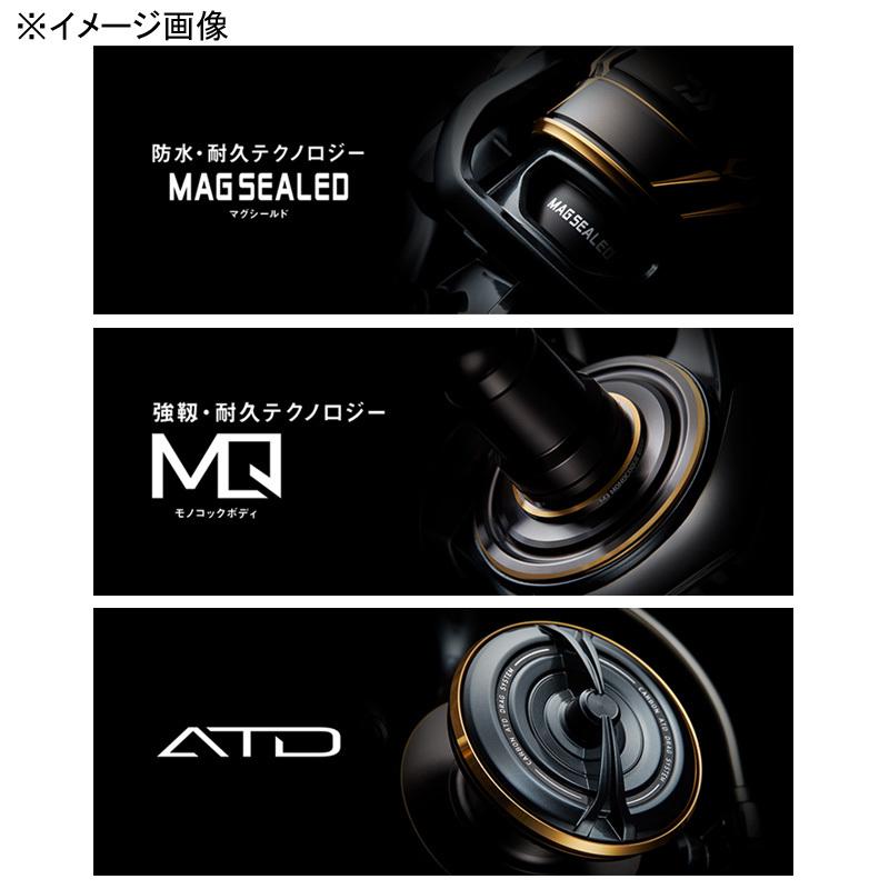 DAIWA（ダイワ） スピニングリール 22 CALDIA(カルディア) SW 8000-H