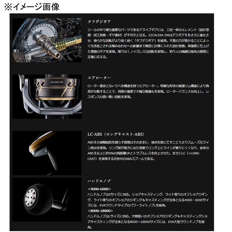 DAIWA（ダイワ） スピニングリール 22 CALDIA(カルディア) SW 18000