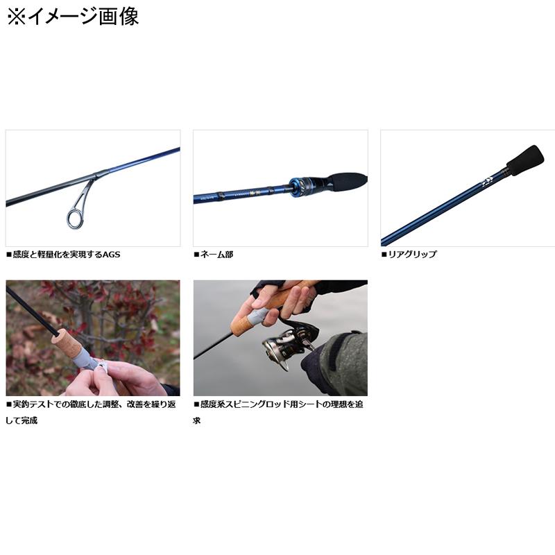 DAIWA（ダイワ） 船釣り・船竿 極鋭キス H-175(2ピース) : ナチュラム