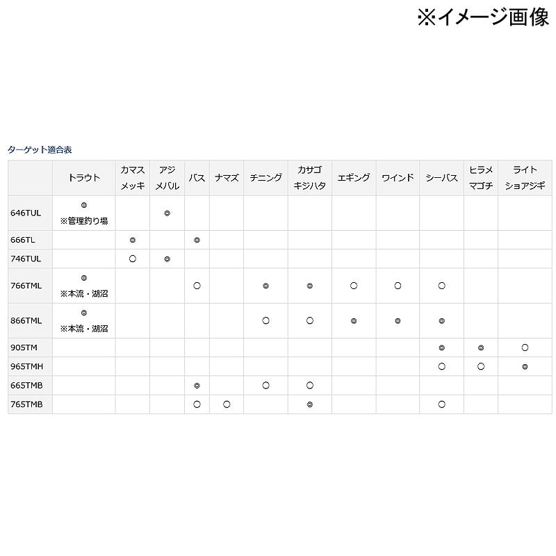 DAIWA（ダイワ） シーバスロッド MOBILE PACK(モバイルパック) 666TL