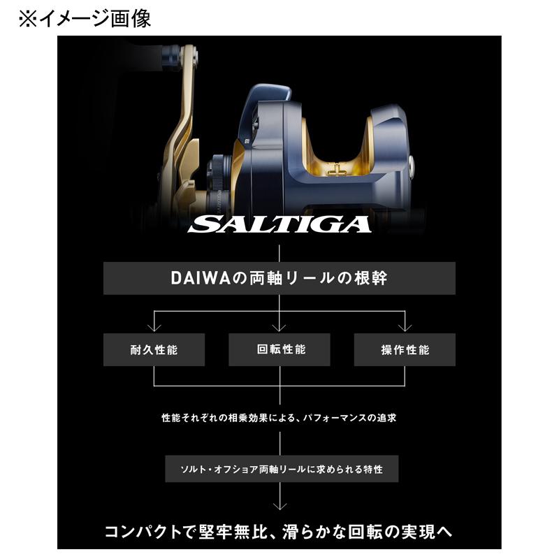 DAIWA(釣り) ベイトリール ダイワ 22SALTIGA(ソルティガ) 15HL DAIWA(釣り) ベイトリール ダイワ 22SALTIGA(ソルティガ) 15HL