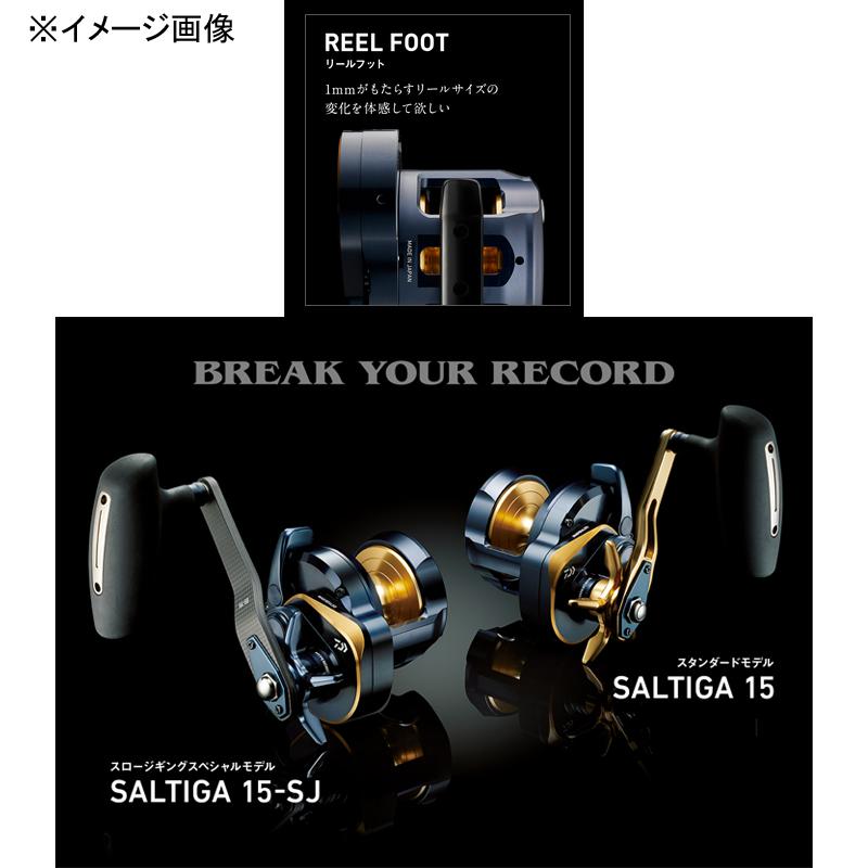 DAIWA（ダイワ） ベイトリール 22SALTIGA(ソルティガ) 15HL 左ハンドル