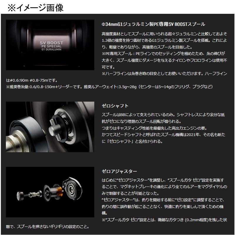 DAIWA（ダイワ） ベイトリール SILVER WOLF(シルバーウルフ)SV TW