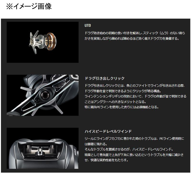 DAIWA（ダイワ） ベイトリール SILVER WOLF(シルバーウルフ)SV TW