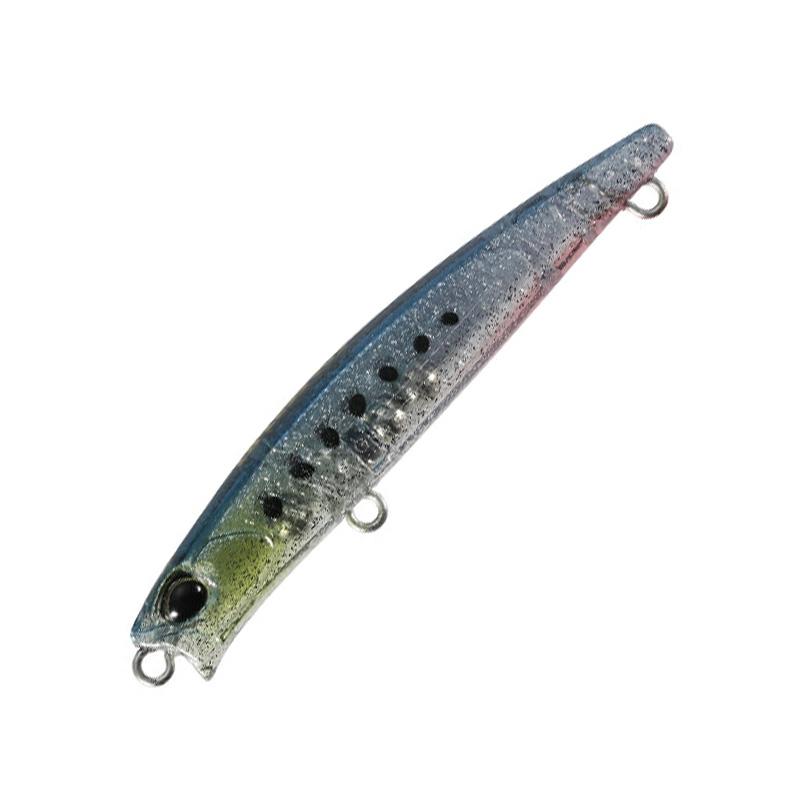 カメルーン産 クワドリマキュラトス ゴライアス70mm 6/19-21は全品+P5% デュオ テトラワークス トトスリム リップレス S