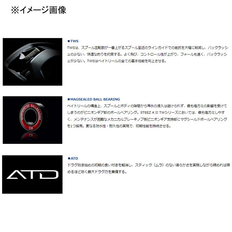 DAIWA(釣り) ベイトリール ダイワ STEEZ AII TW 1000XHL DAIWA(釣り) ベイトリール ダイワ STEEZ AII TW 1000XHL