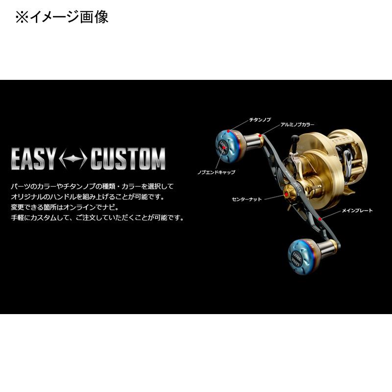 リールカスタムパーツ LIVRE FullComp クランク120 ダイワ用 右巻き ガンメタP+ブルーGの画像