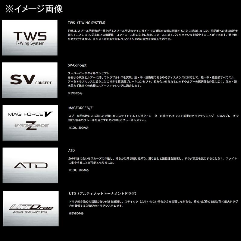 DAIWA(釣り) ベイトリール ダイワ 23SALTISTソルティストTW DAIWA(釣り) ベイトリール ダイワ 23SALTISTソルティストTW