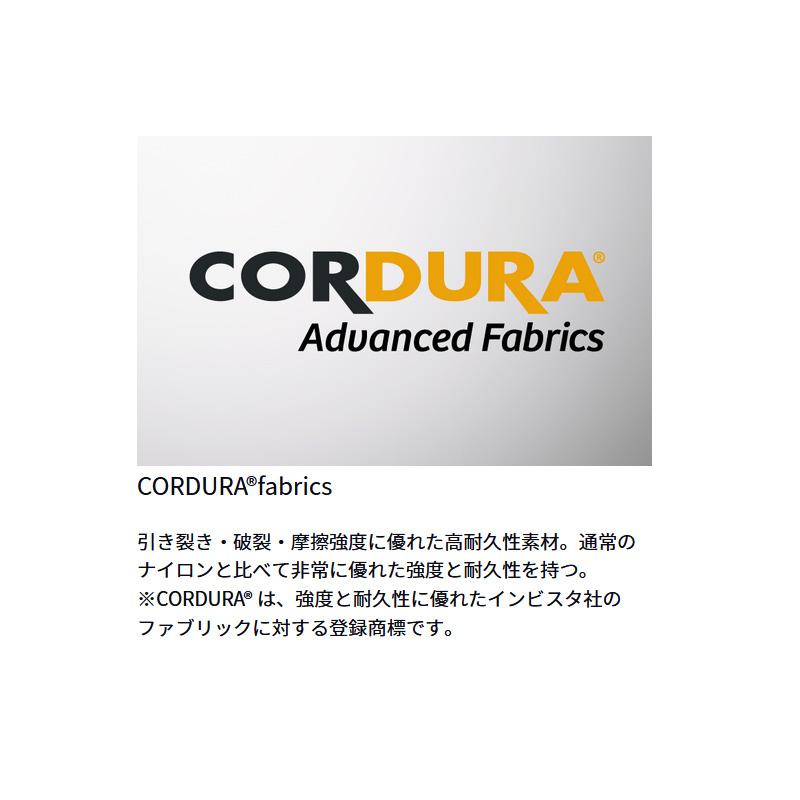 DAIWA(釣り) ウェーディングシューズ ダイワ WS-2202C DAIWA(釣り) ウェーディングシューズ ダイワ WS-2202C