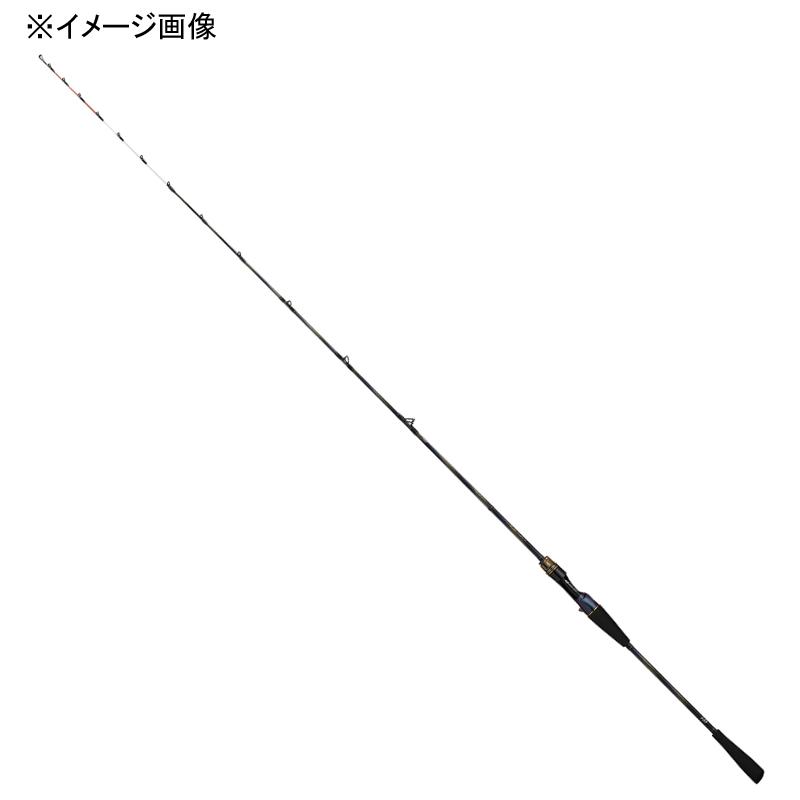 DAIWA（ダイワ） 船竿 極鋭 LG EX 82MH-175(ベイト・2ピース) 82MH-175