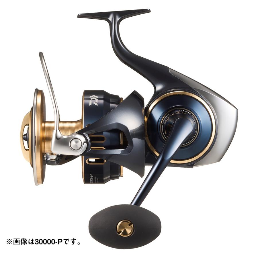 DAIWA（ダイワ） 5/21は全品+P5% スピニングリール 25ソルティガ 30000