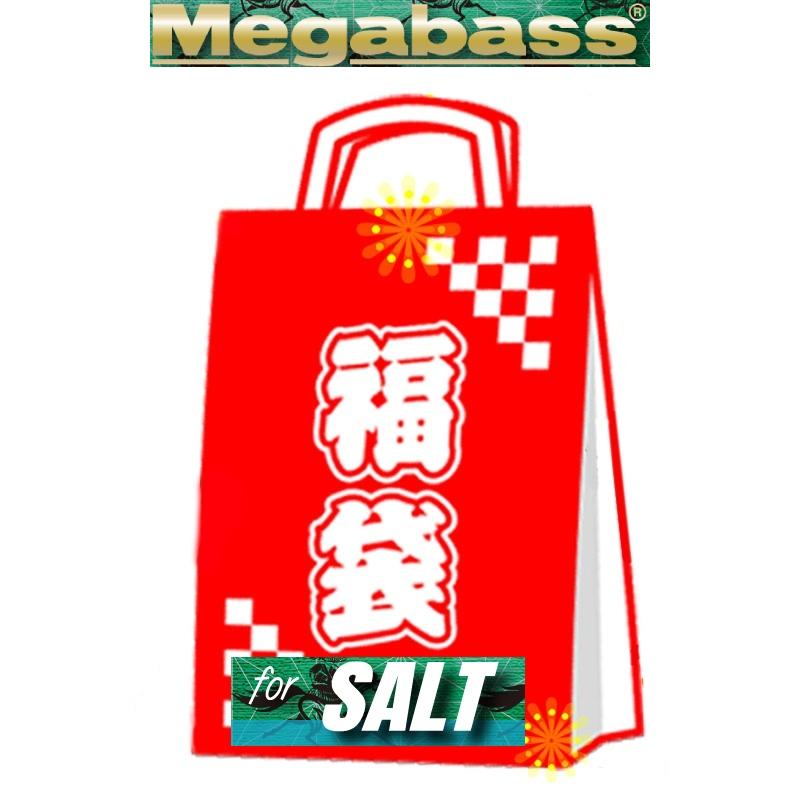 2/1まで+P5% シーバス用ルアー メガバス 2026メガバス福袋 SALT SET