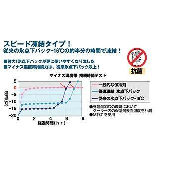 ロゴス 倍速凍結・氷点下パックM×3個セット M ハードタイプ｜naturum-outdoor｜03