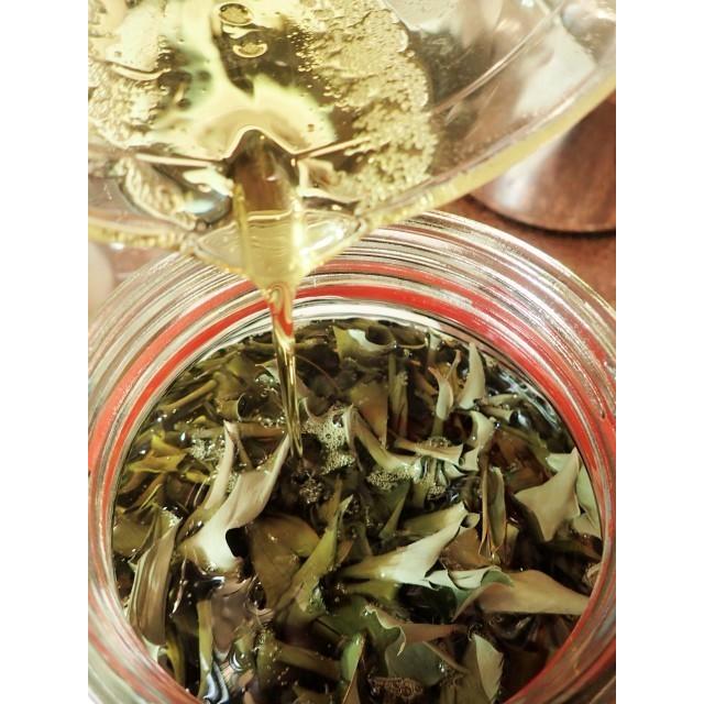 nauhiaherb 3個セット石垣島月桃タマヌオイル30ml|nauhia-herb|03