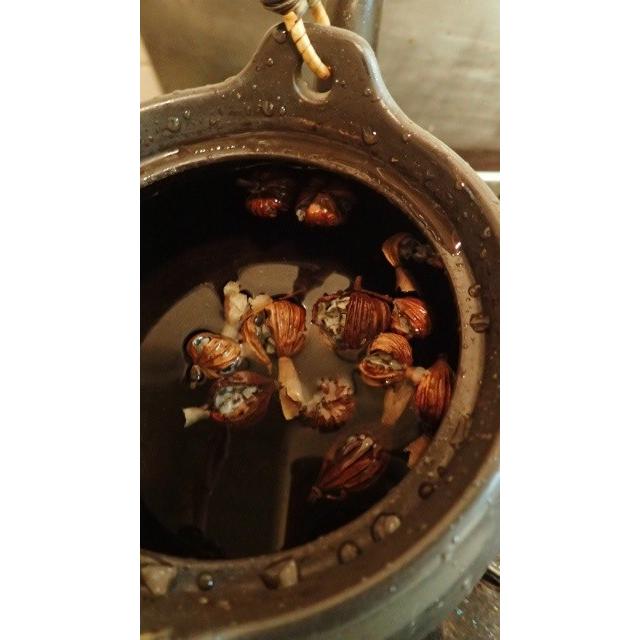 Nauhiaherb 石垣島産 月桃の実茶 80g ゲットウの実茶 P0xrbxrrs7 Nauhiaherb 通販 Yahoo ショッピング